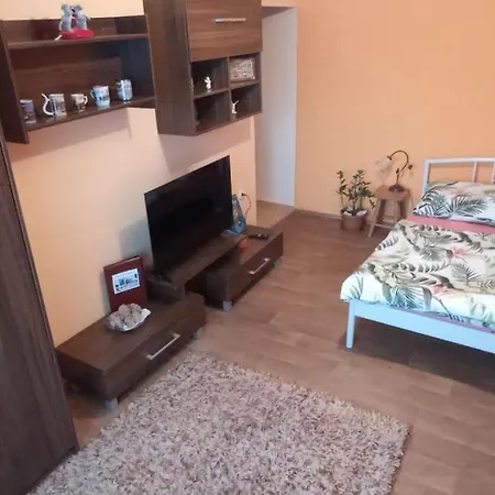شقة Apartman Vanessa بييشتِني